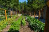 23204 Costilla Ln - Photo 44