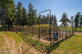 25512 Orchard Bluff Rd - Photo 81