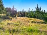 NNA Orion 20Acres Dr - Photo 12