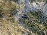 NNA Orion 20Acres Dr - Photo 29