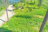 2304 Blue Creek Road - Photo 11