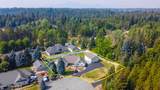 11907 Blue Jay Ct - Photo 41