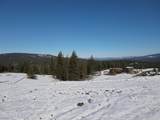 15656 Syrah Way - Photo 6
