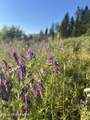 NKA Clearcreek Rd - Photo 20