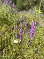 NKA Clearcreek Rd - Photo 25