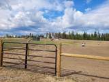 229 Mcdonald Creek Rd - Photo 47