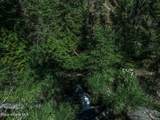 210 Rusho Ln - Photo 80