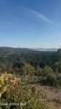 14.75 Acre Treetop Ln - Photo 12