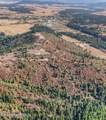14.75 Acre Treetop Ln - Photo 13