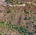 14.75 Acre Treetop Ln - Photo 14