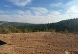 14.75 Acre Treetop Ln - Photo 15