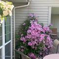 1309 Westwood Ln - Photo 45