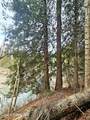 NNA Lightning Creek Rd - Photo 38