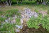 20264 Coeur D'alene River Rd - Photo 34