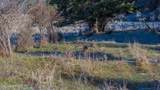 NKA 320acs Summer Rd - Photo 22