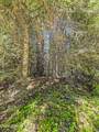 NNA Tanglewood Dr - Photo 11
