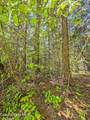 NNA Tanglewood Dr - Photo 13