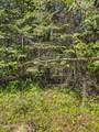 NNA Tanglewood Dr - Photo 16