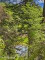 NNA Tanglewood Dr - Photo 18