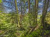 NNA Tanglewood Dr - Photo 8