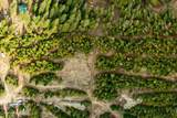 49 Zig Zag Way - Photo 44