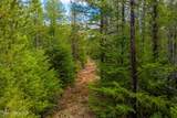 49 Zig Zag Way - Photo 53