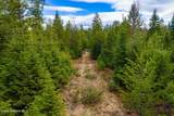 49 Zig Zag Way - Photo 54