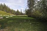 1315 Mordyl Loop - Photo 43