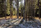 870 & 842 Samuels Rd - Photo 51