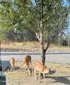 13476 Margishward Rd - Photo 45