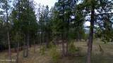 13476 Margishward Rd - Photo 48