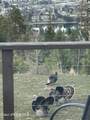 13476 Margishward Rd - Photo 51