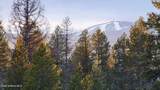 672 Hopkins Rd - Photo 9