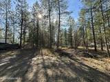 1733 Last Chance Rd - Photo 15