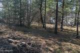 1733 Last Chance Rd - Photo 20