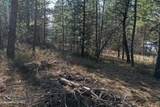 1733 Last Chance Rd - Photo 21