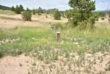 293 Vine Maple - Photo 13