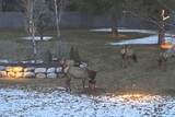 2177 Totten Ln - Photo 43