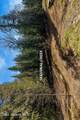 300 Sunny Shadows Lane - Photo 43