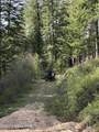 NNA Cda River Drive/Mcphee Gulch - Photo 10