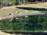 877 Heath Lake Rd - Photo 47