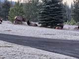 877 Heath Lake Rd - Photo 48