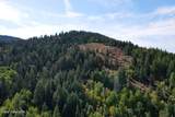NNA 10 Acres Upper Manley Creek Rd - Photo 3