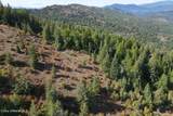 NNA 10 Acres Upper Manley Creek Rd - Photo 4