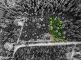 Lot 1 Peirone Estates - Photo 11