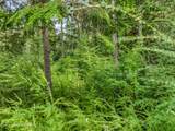 Lot 1 Peirone Estates - Photo 16