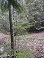 940 Sled Run Trl - Photo 4