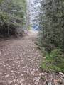 940 Sled Run Trl - Photo 8