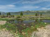 14601 Hwy 5 - Photo 55
