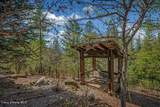 2875 Gold Creek Rd - Photo 72